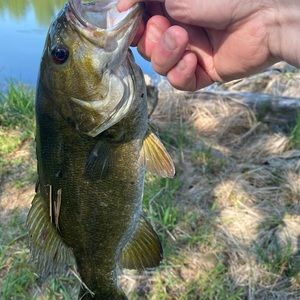 Meet your Posher, Mike